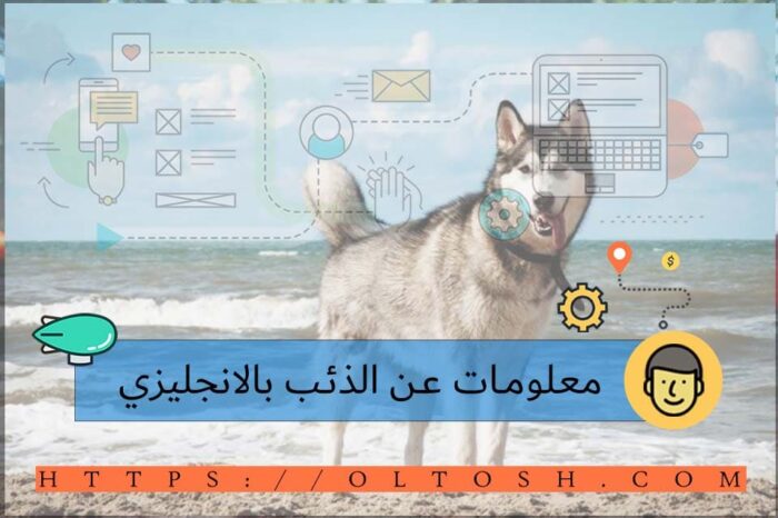 معلومات عن The wolf بالانجليزي