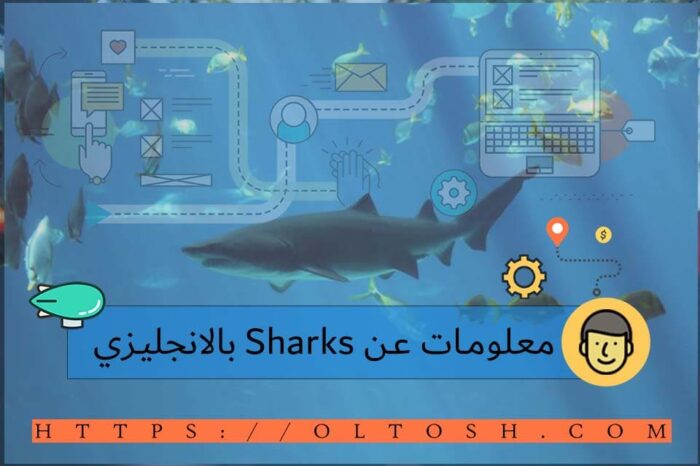 معلومات عن Sharks بالانجليزي