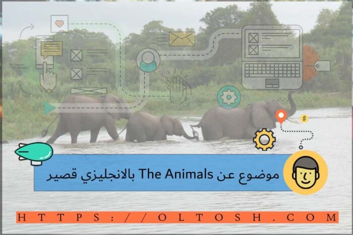 موضوع عن The Animals بالانجليزي قصير