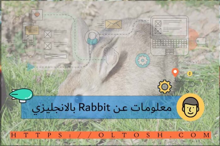 معلومات عن Rabbit بالانجليزي