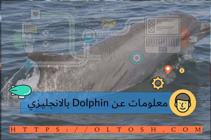 معلومات عن Dolphin بالانجليزي