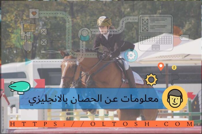 معلومات عن The Horse بالانجليزي