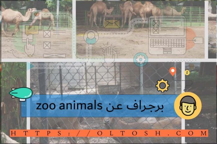 برجراف عن zoo animals