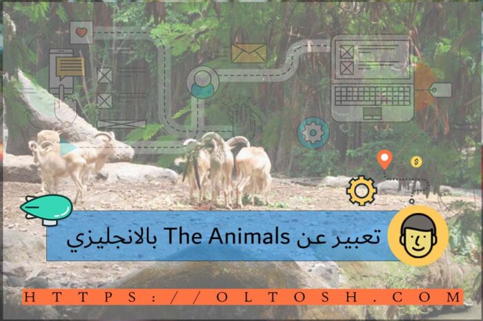 تعبير عن The Animals بالانجليزي