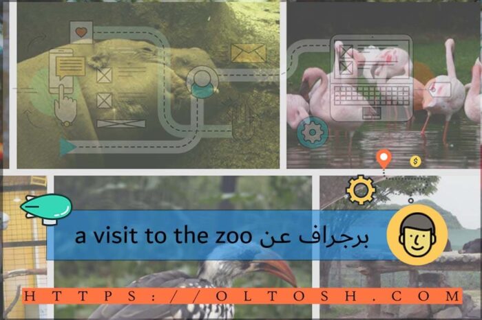 برجراف عن a visit to the zoo